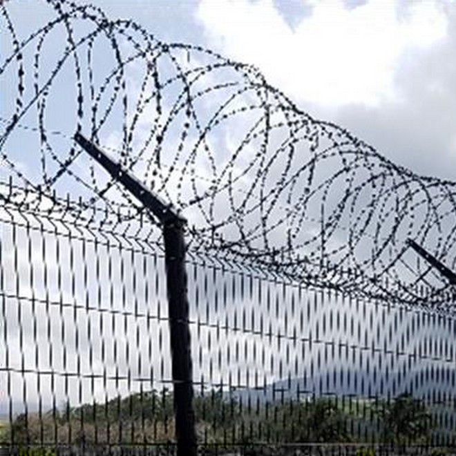 Vente de bavolets fil pour poteaux pour clôtures à la Réunion